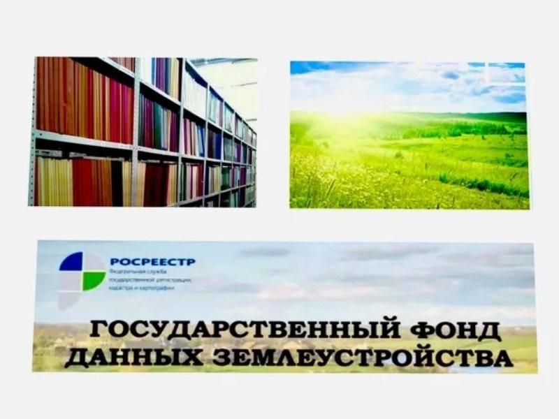 Материалы из Государственного фонда данных землеустройства (ГФДЗ) можно получить на портале Госуслуг.