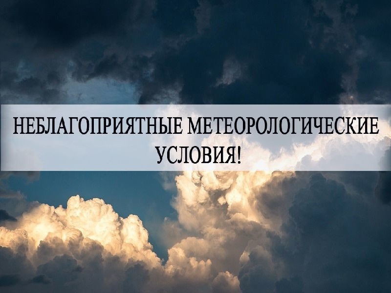 Обязанности хозяйствующих субъектов при установлении неблагоприятных метеорологических условий.